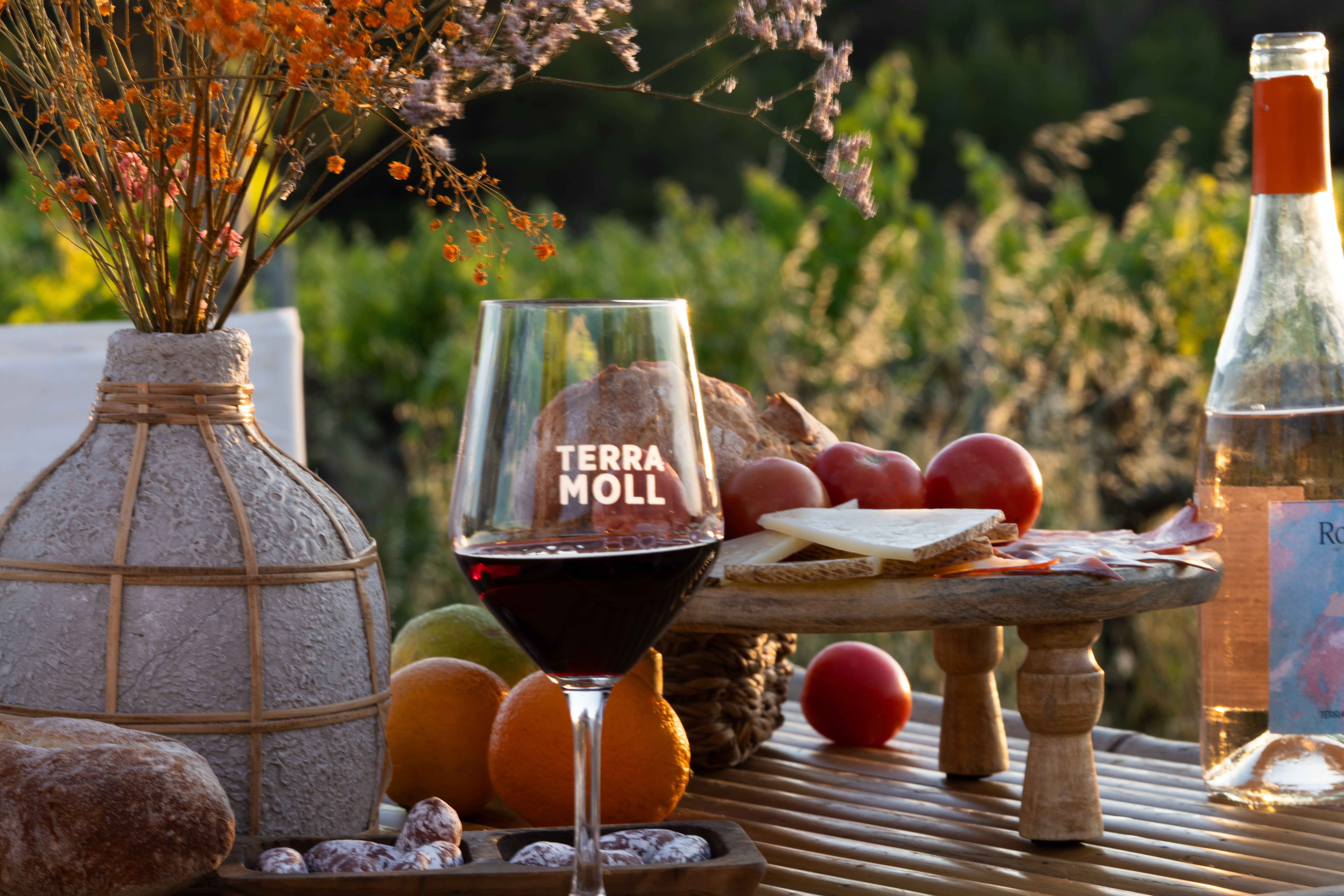 Copa vino tinto Terra Moll, rosado, quesos, embutidos y pan al aire libre.