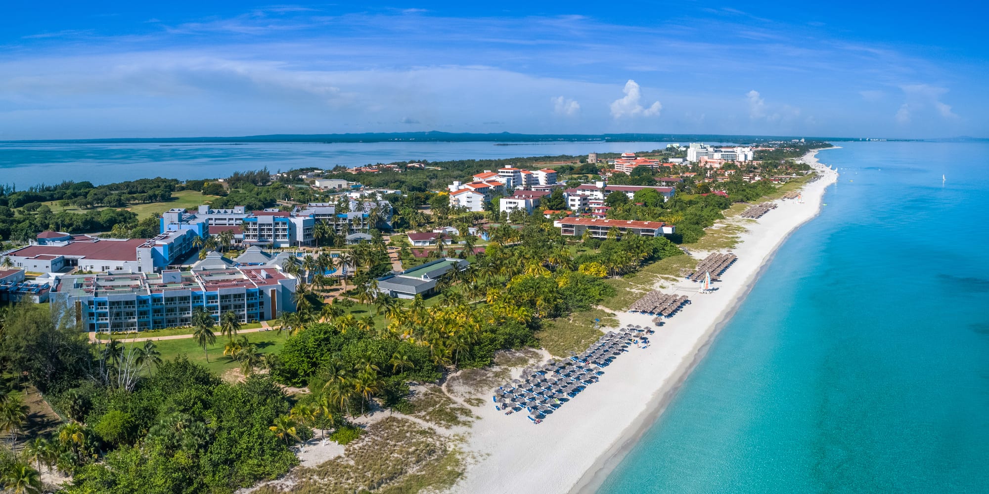 a beach with buildings and palm trees
