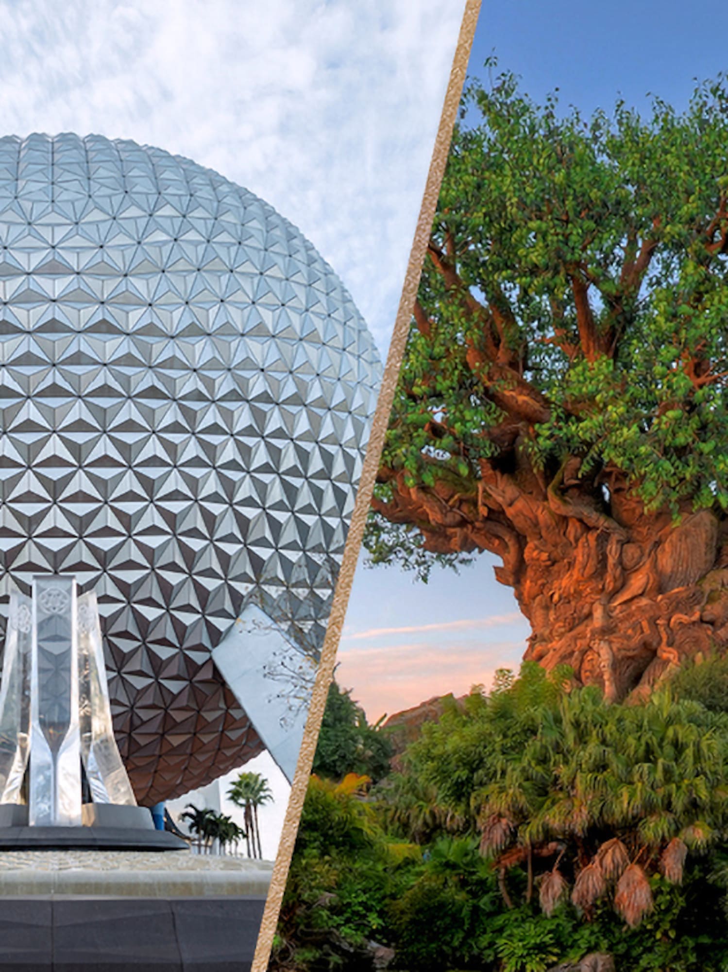 a collage of a tree and a sphere