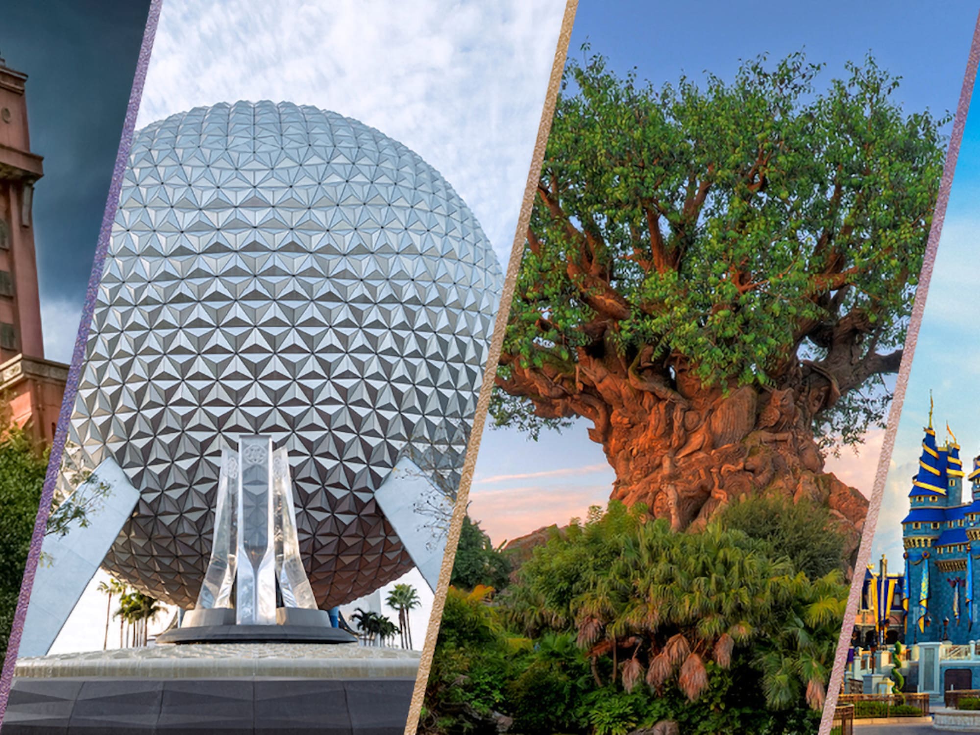 a collage of a tree and a sphere