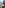 Disney World landmarks: Tower of Terror, Spaceship Earth, Tree of Life, Cinderella Castle.