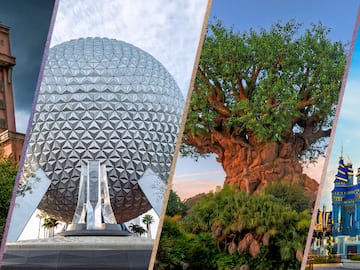 a collage of a tree and a sphere