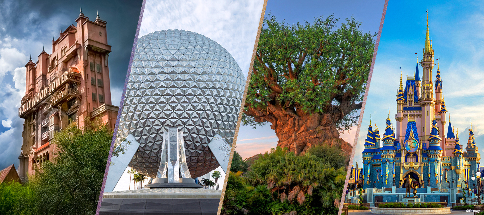 Disney World landmarks: Tower of Terror, Spaceship Earth, Tree of Life, Cinderella Castle.