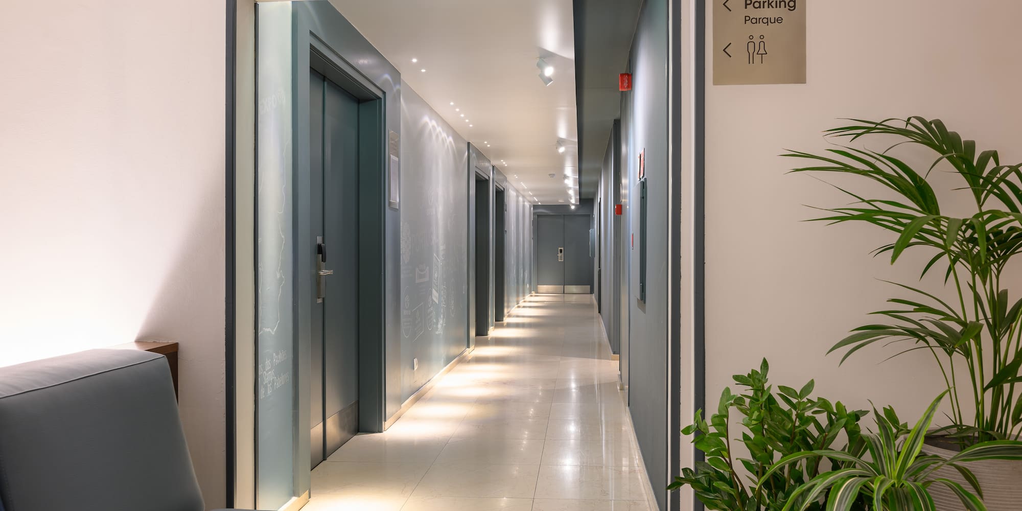 a hallway with grey doors and a plant