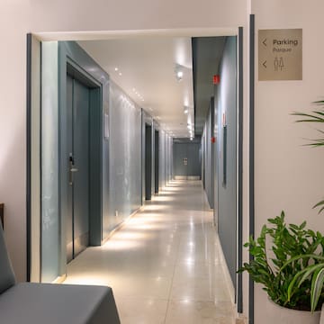 a hallway with grey doors and a plant