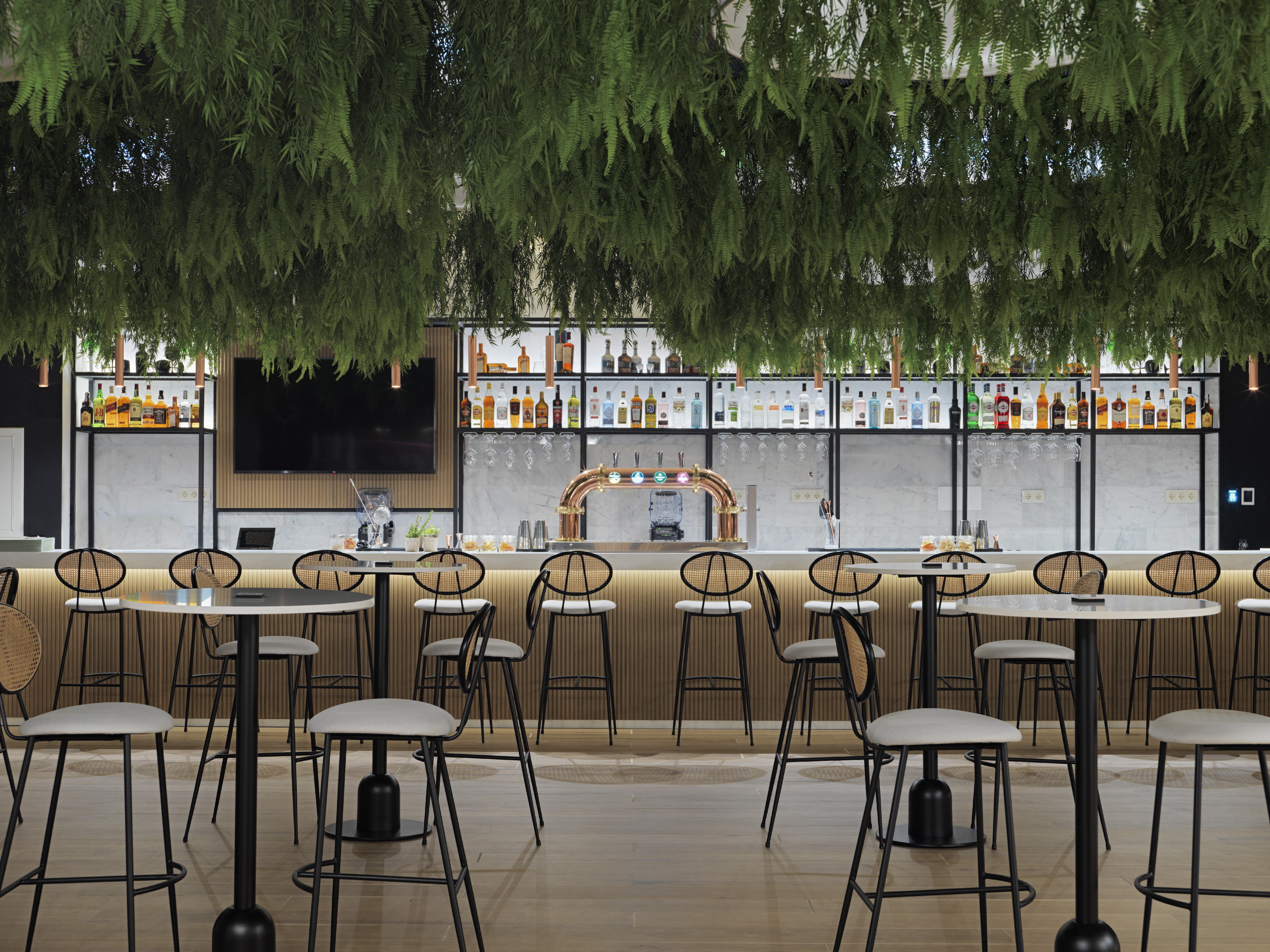 Modern bar with lush green foliage, liquor bottles, and stylish stools.