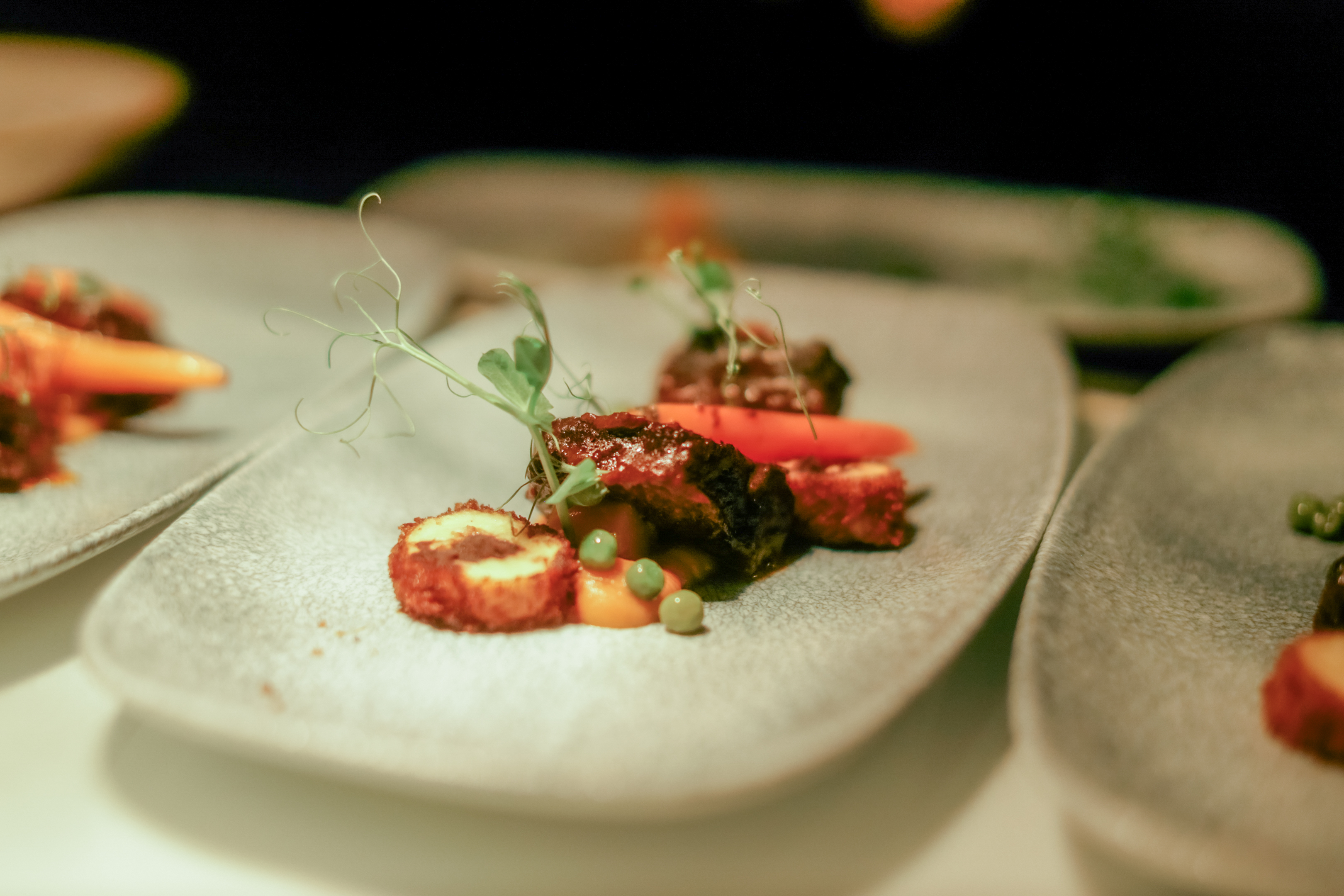 Plato de alta cocina con carne glaseada, zanahorias y brotes.