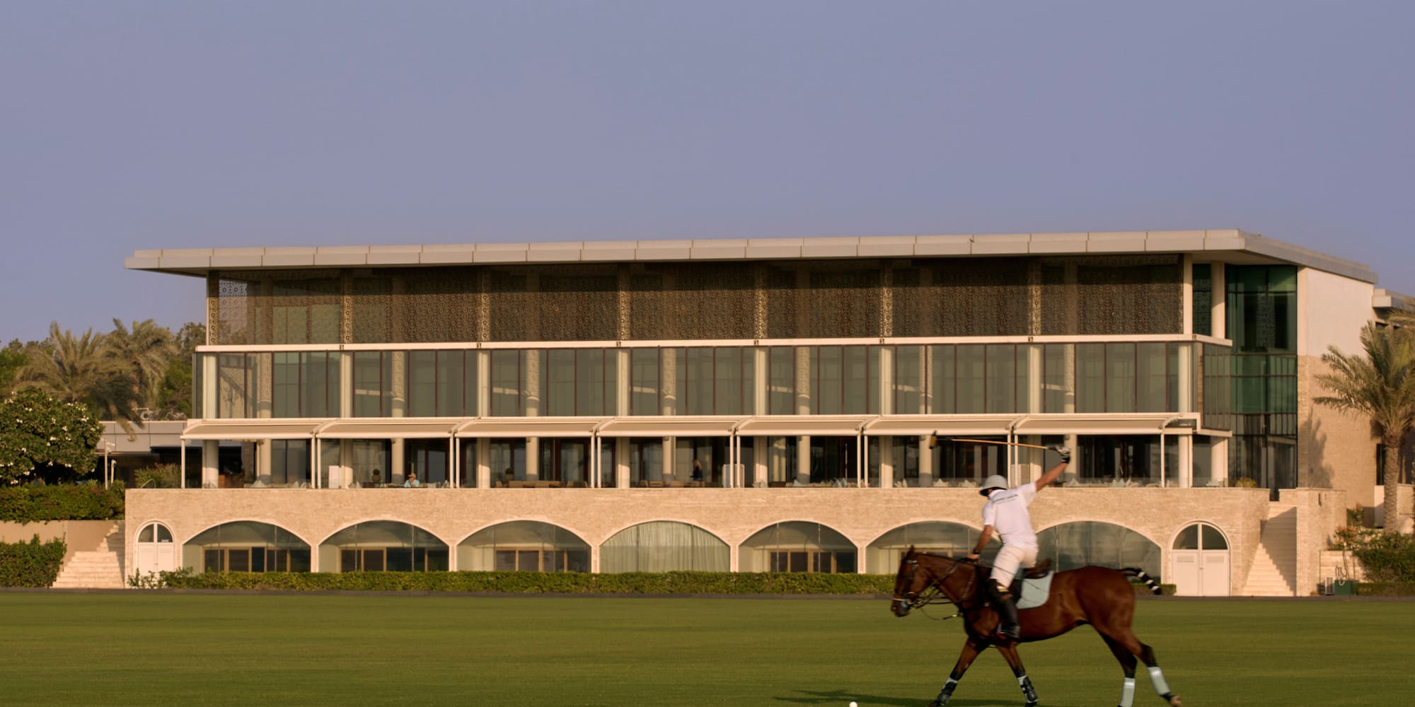 a man on a horse on a field