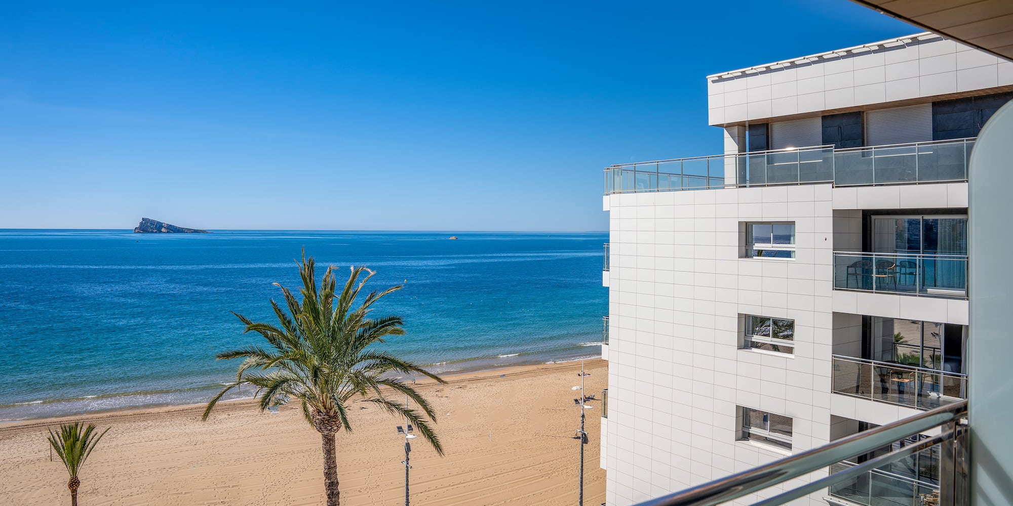 a beach with palm trees and a building