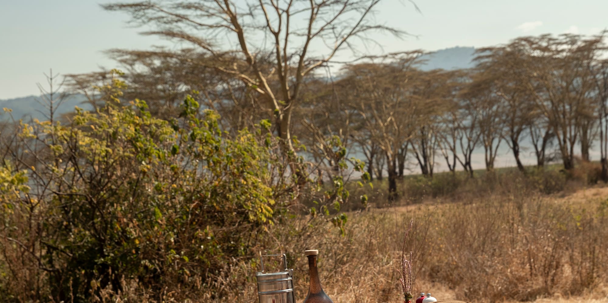 a table with food on it and chairs in a field