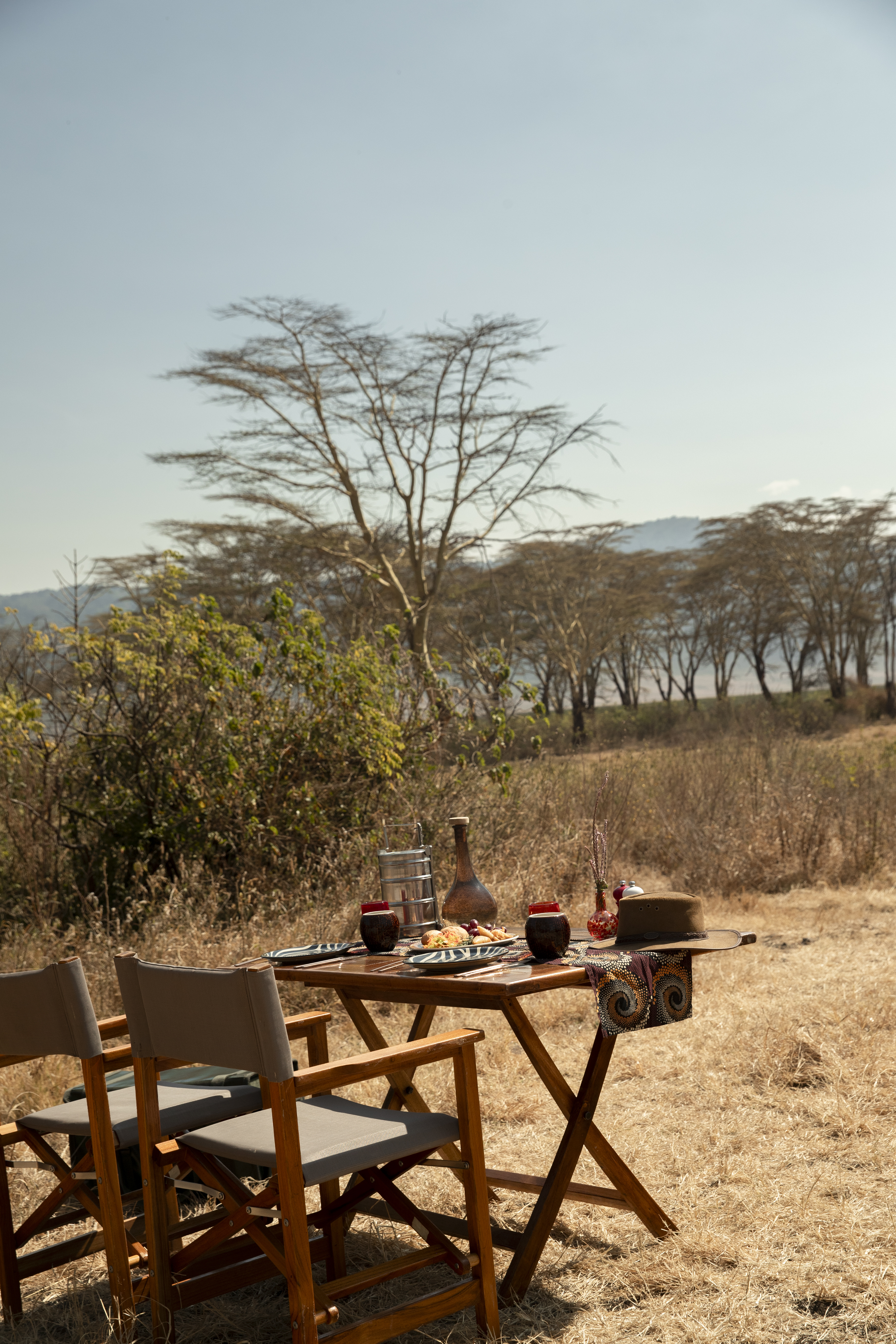 a table with food on it and chairs in a field