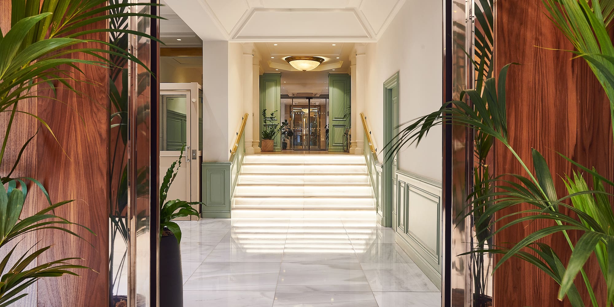 a hallway with stairs and plants