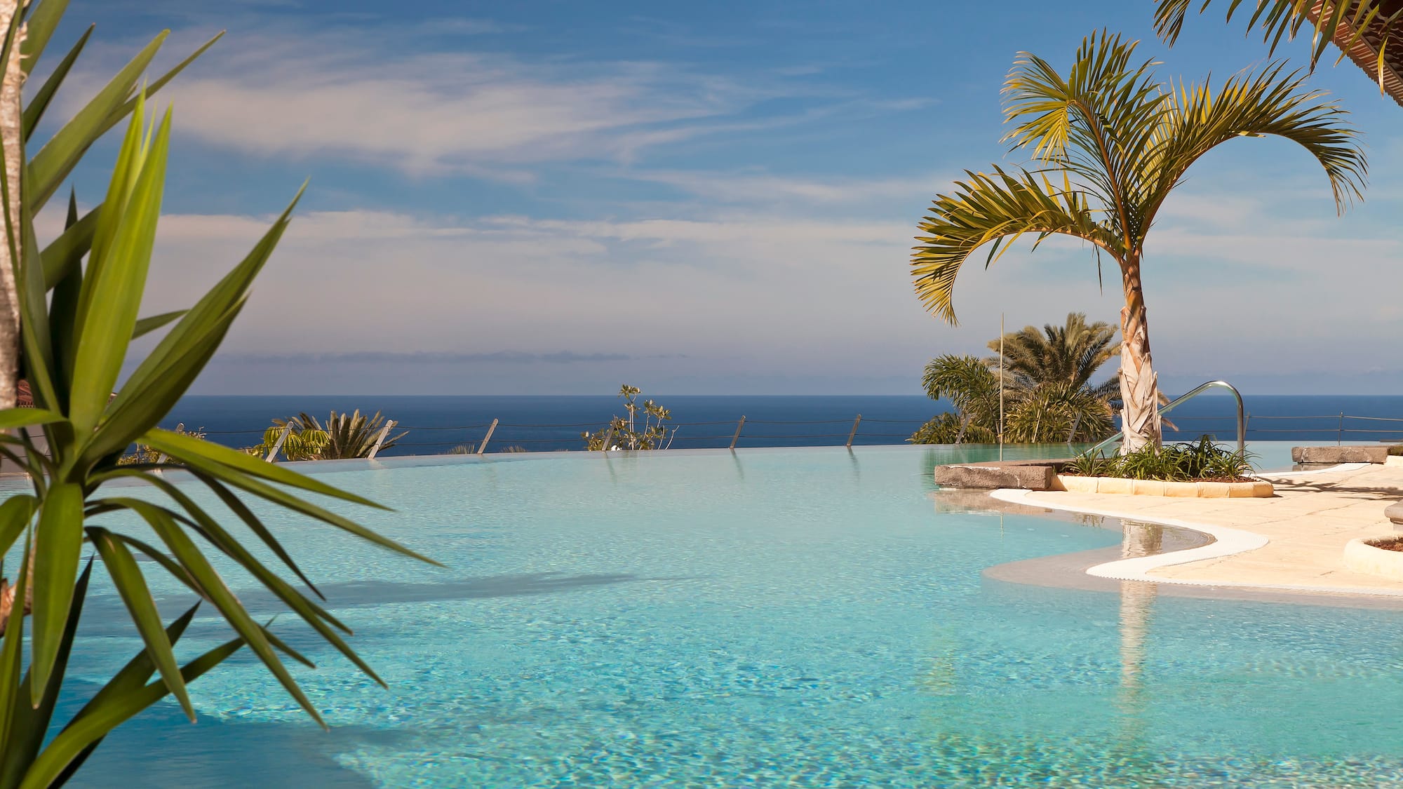 a pool with palm trees and a bar