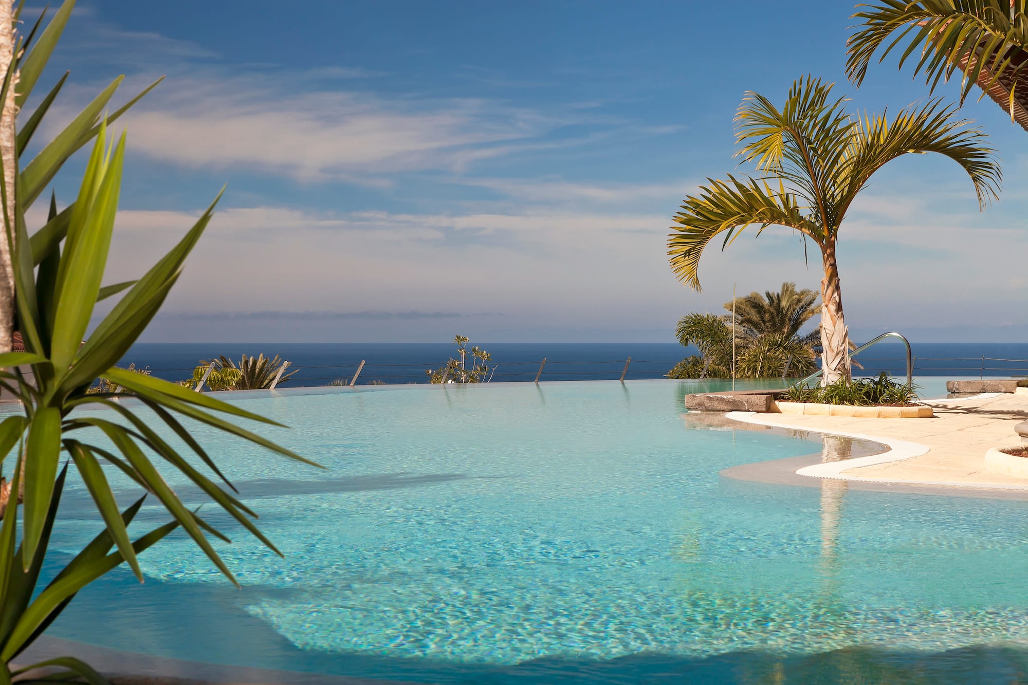 a pool with palm trees and a bar