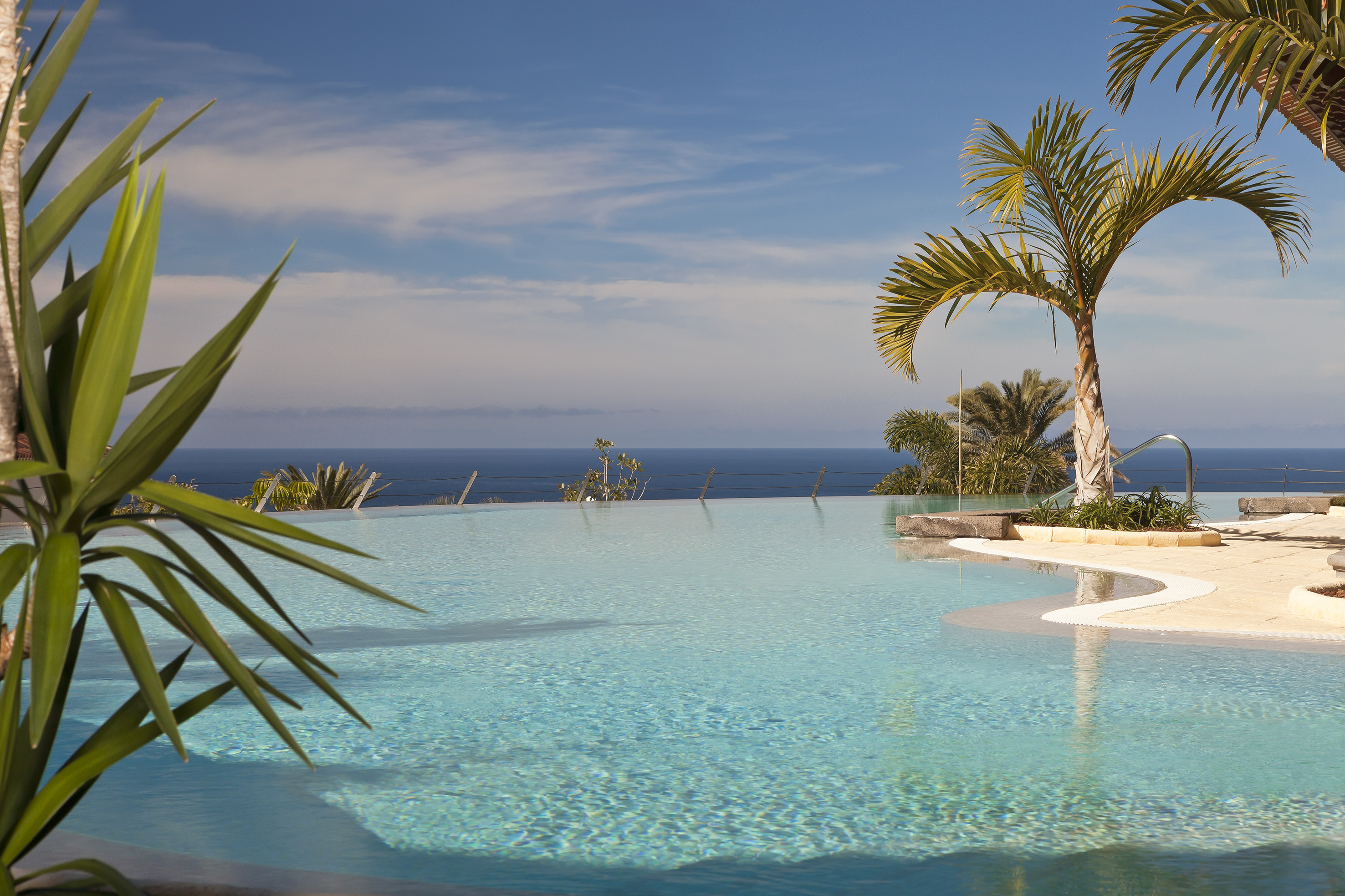 Tropical infinity pool overlooking the ocean with palm trees.