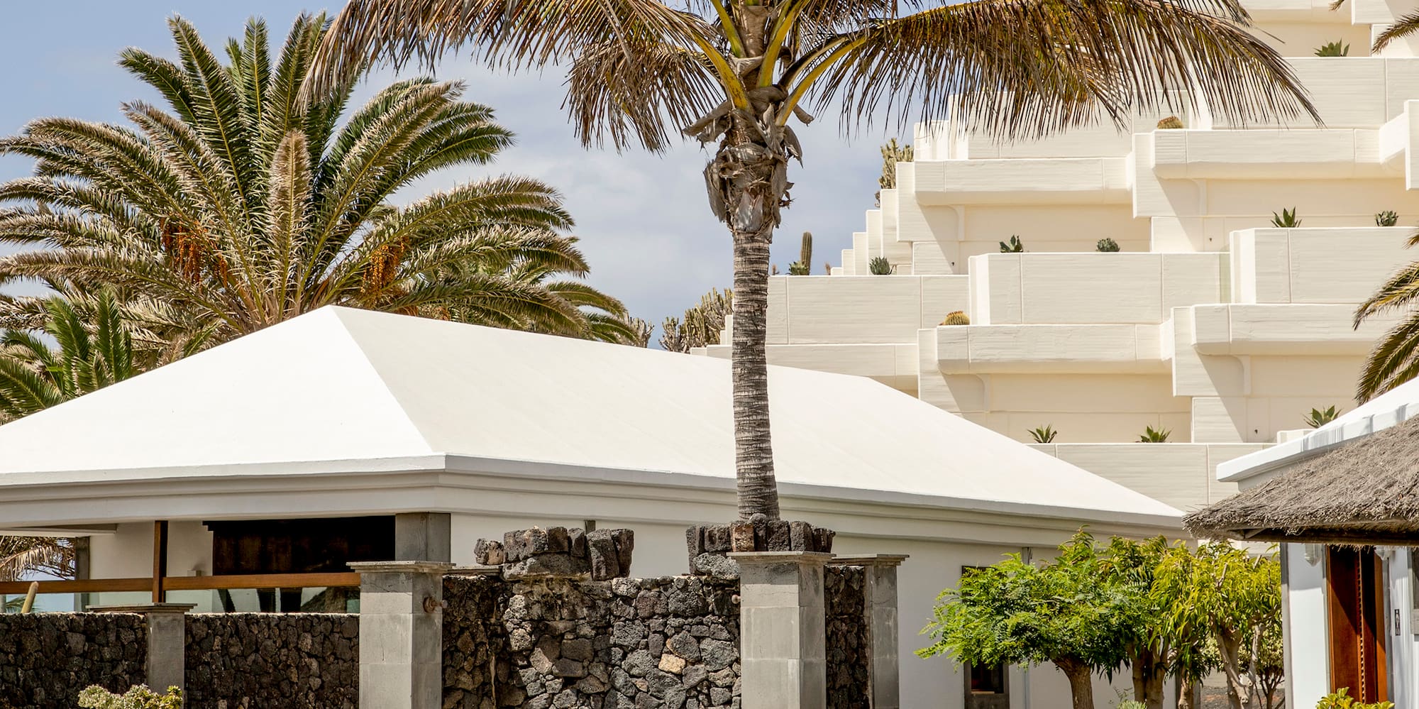 a white building with a palm tree and lounge chairs