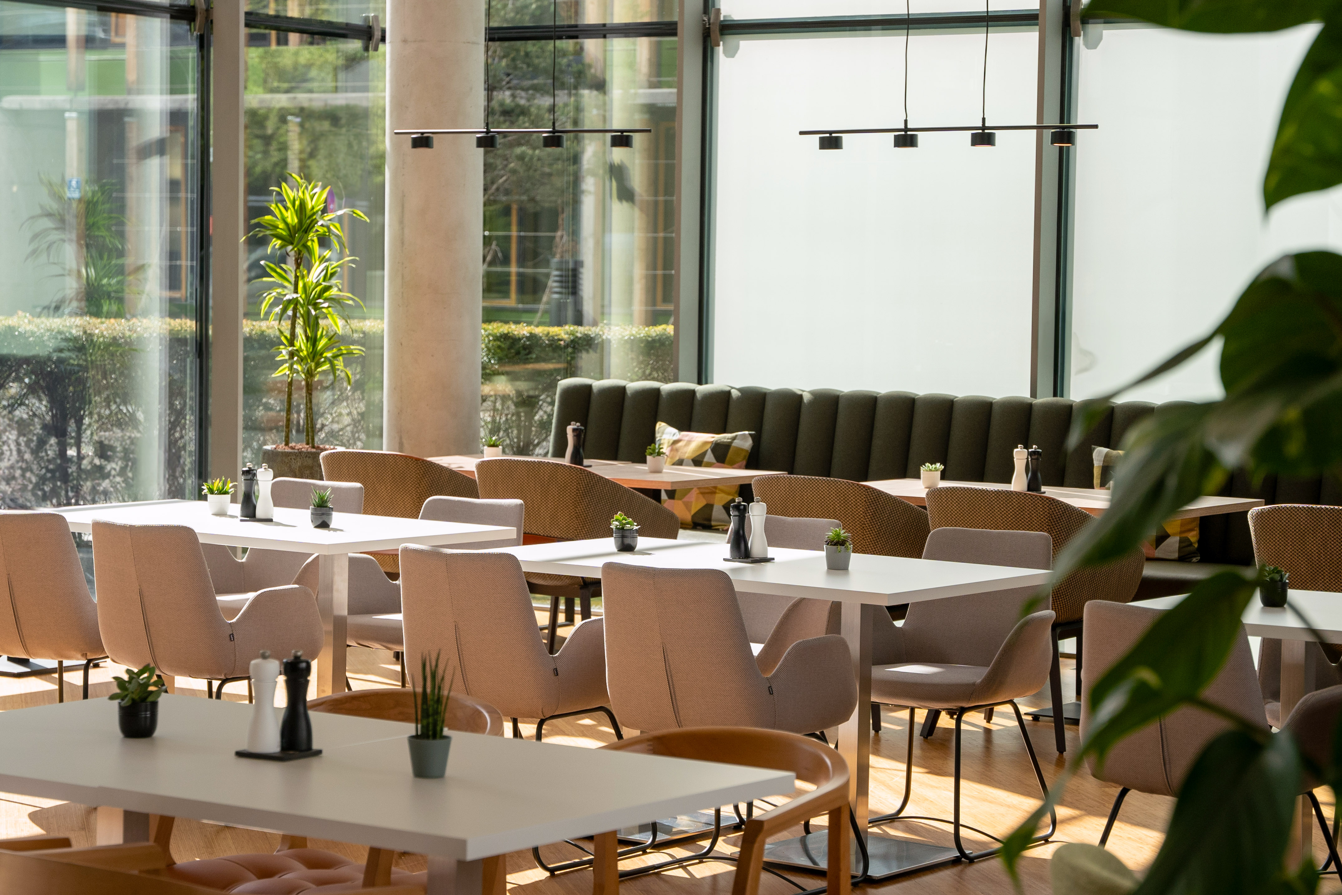 Modern restaurant interior with natural light, large windows, and comfortable seating.