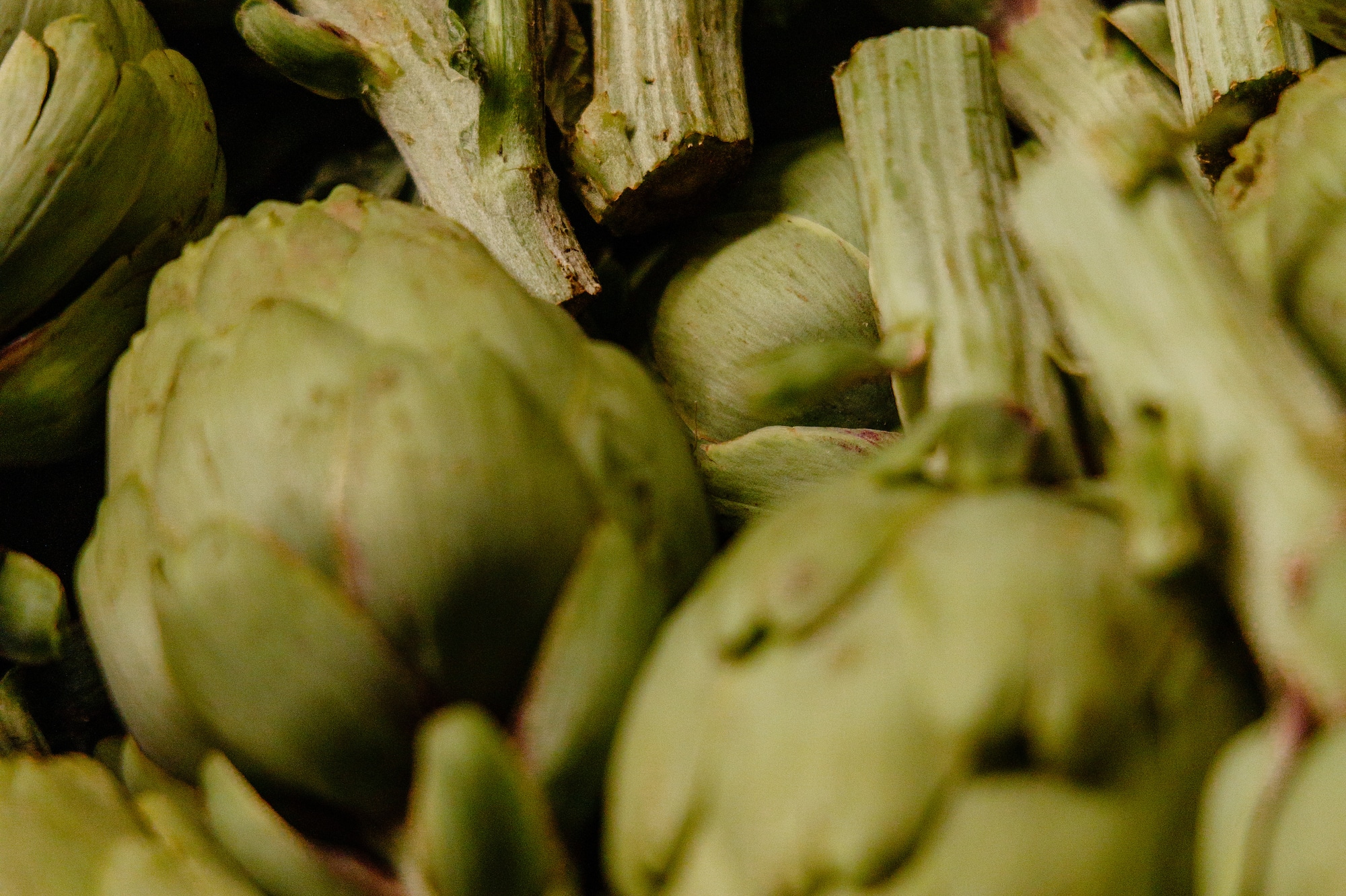 Primer plano de alcachofas verdes frescas, vegetales con tallos.