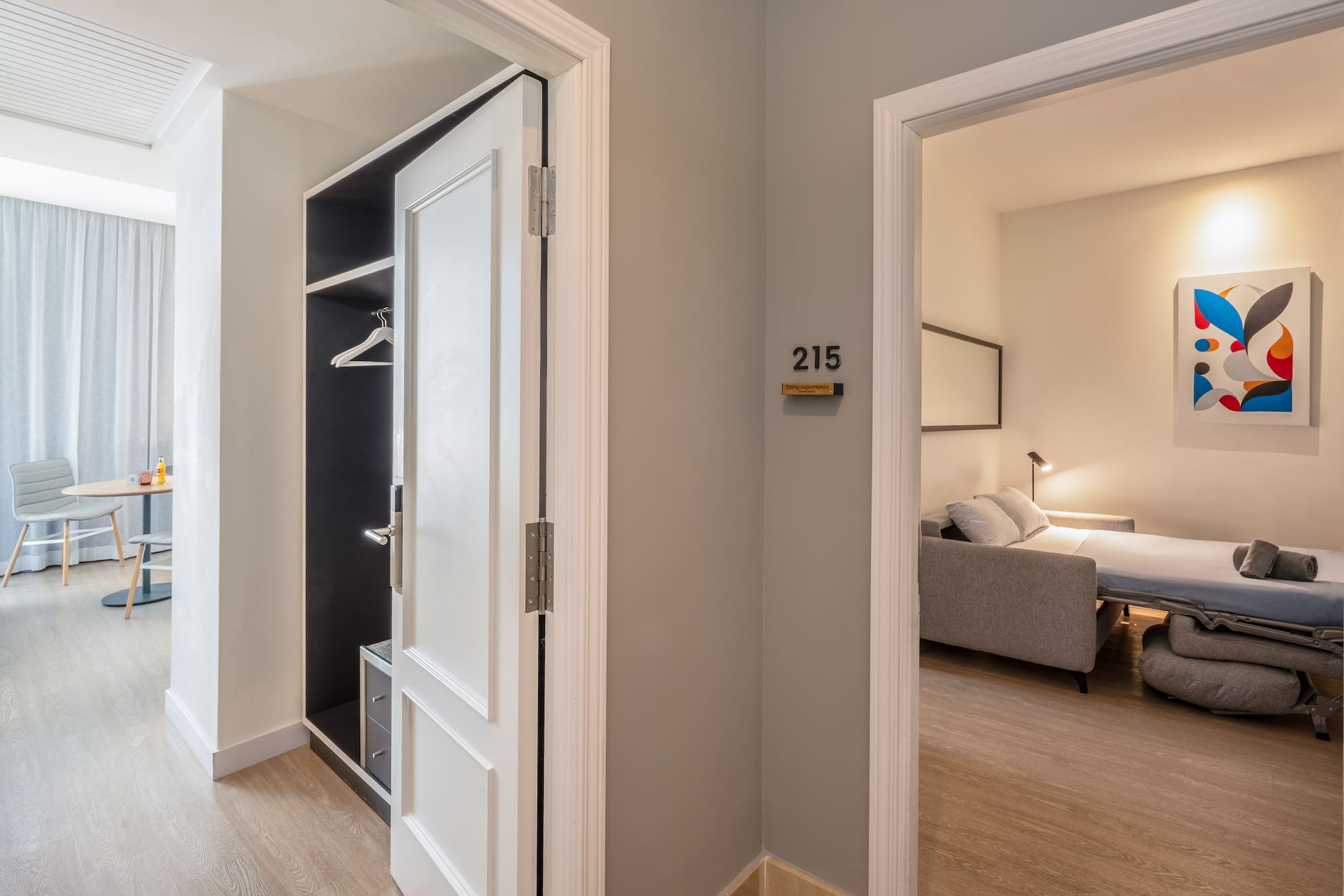 Modern hotel room 215 entryway with open closet and sofa bed visible.