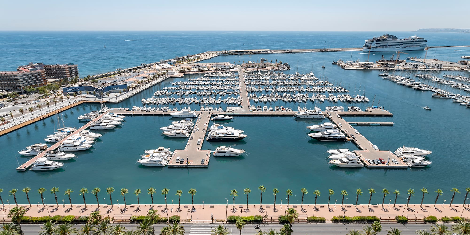 a marina with many boats and palm trees