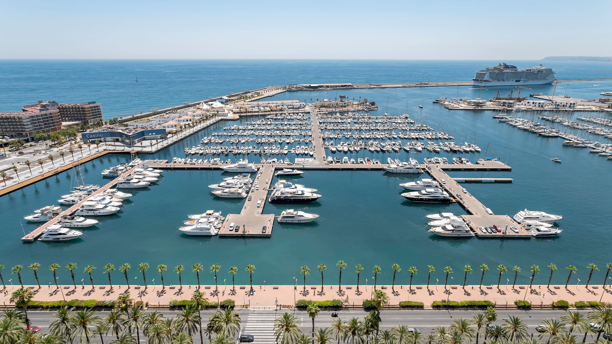a marina with many boats and palm trees