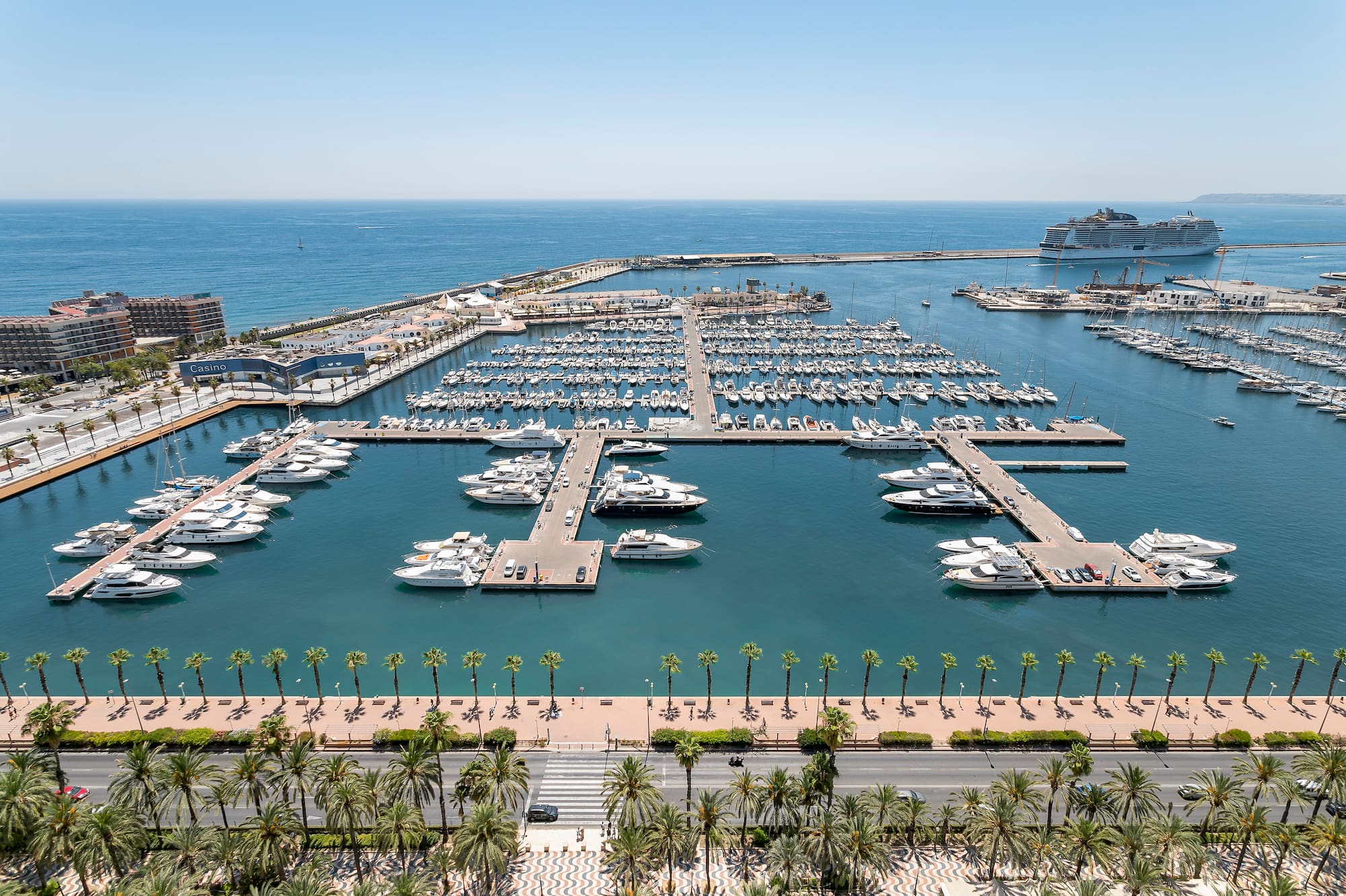 a marina with many boats and palm trees