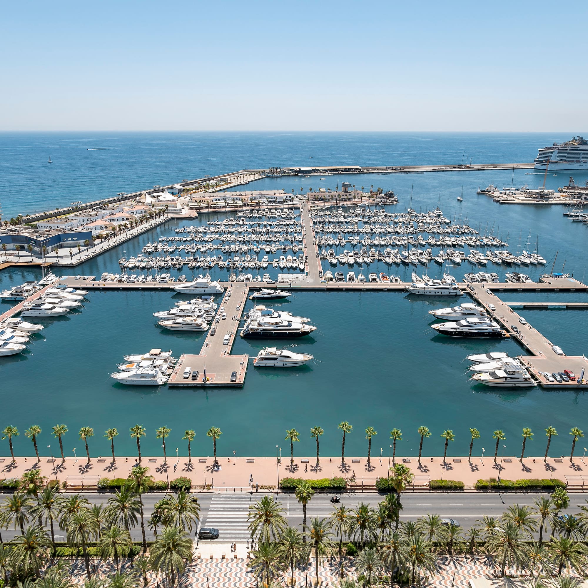 a marina with many boats and palm trees
