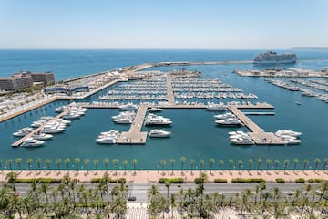 a marina with many boats and palm trees