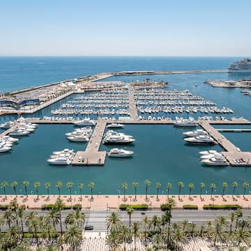 a marina with many boats and palm trees