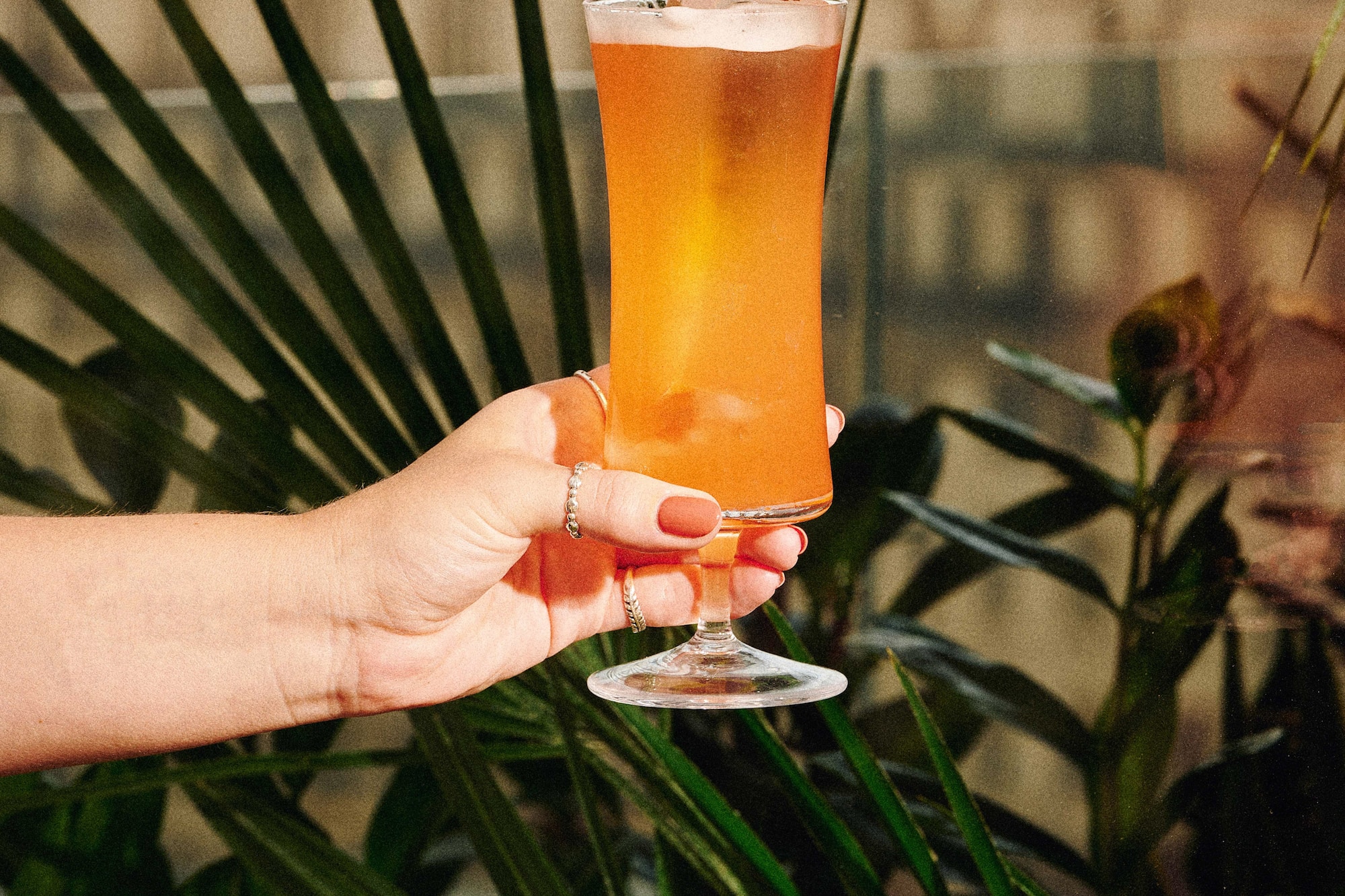 a hand holding a glass of orange liquid