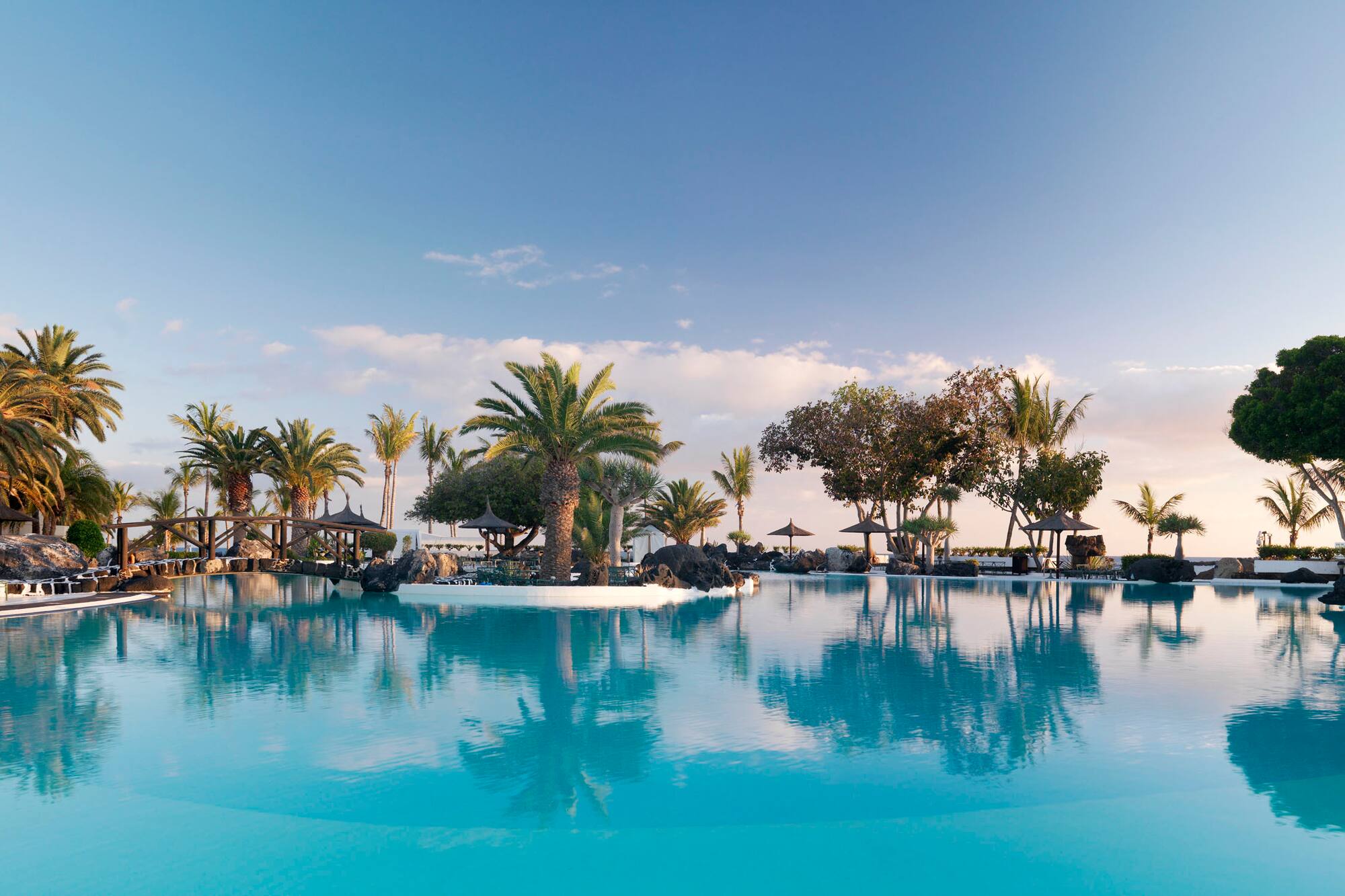 a pool with palm trees and umbrellas