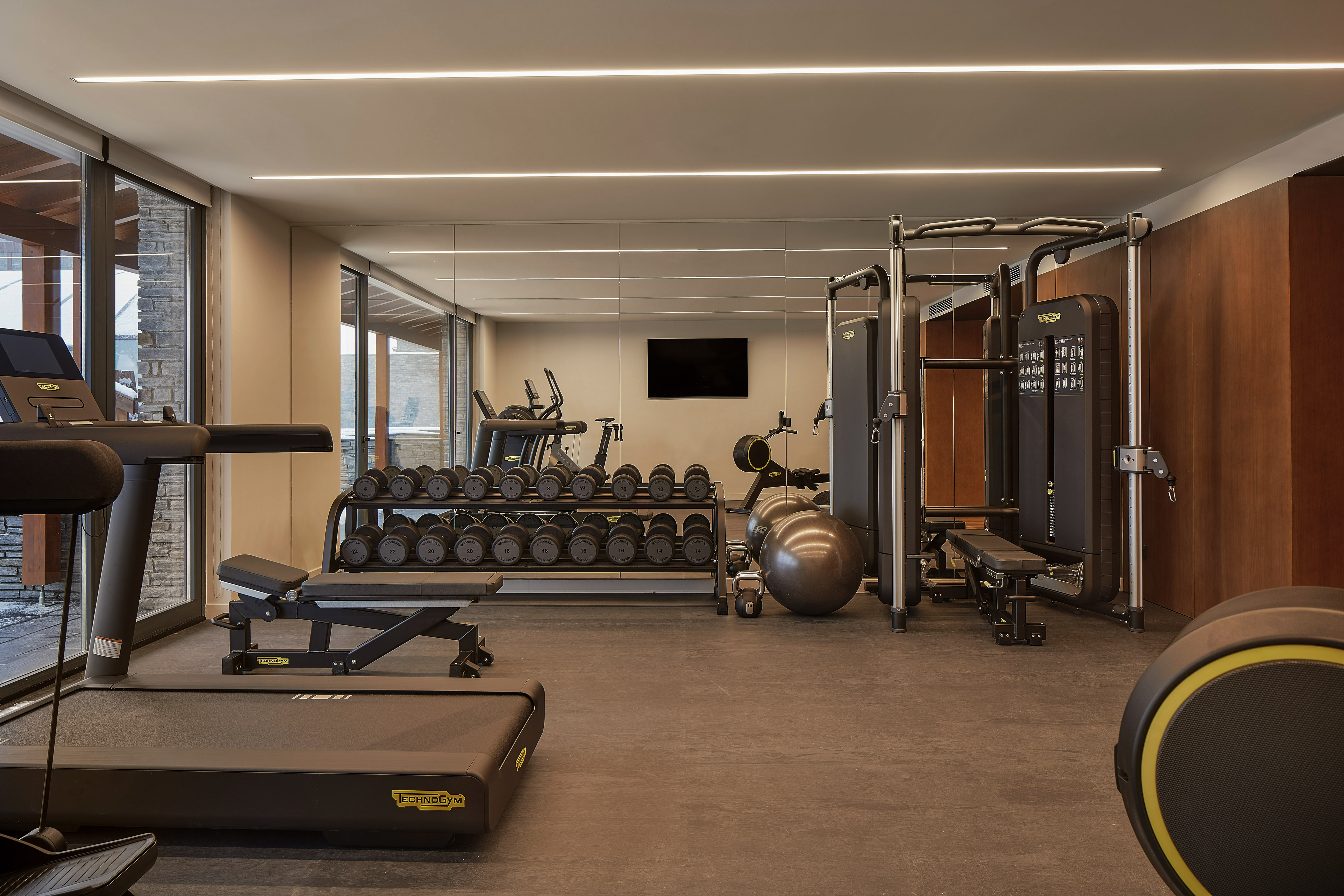 Luxury fitness center with Technogym equipment, weights, and treadmill.