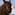 a person petting a horse