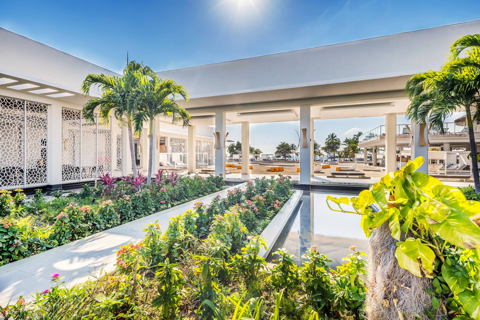 a building with a pool and plants