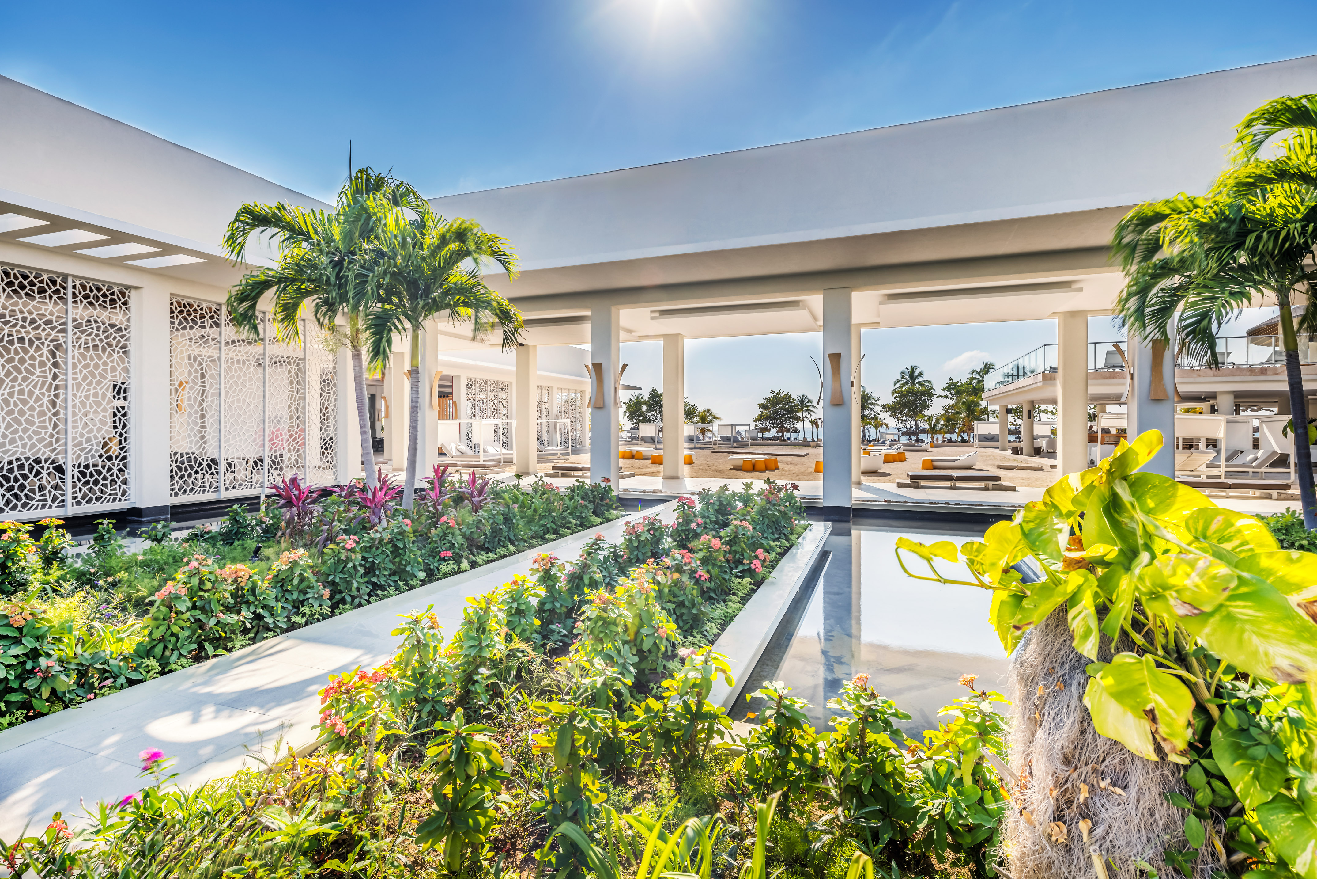 a building with a pool and plants