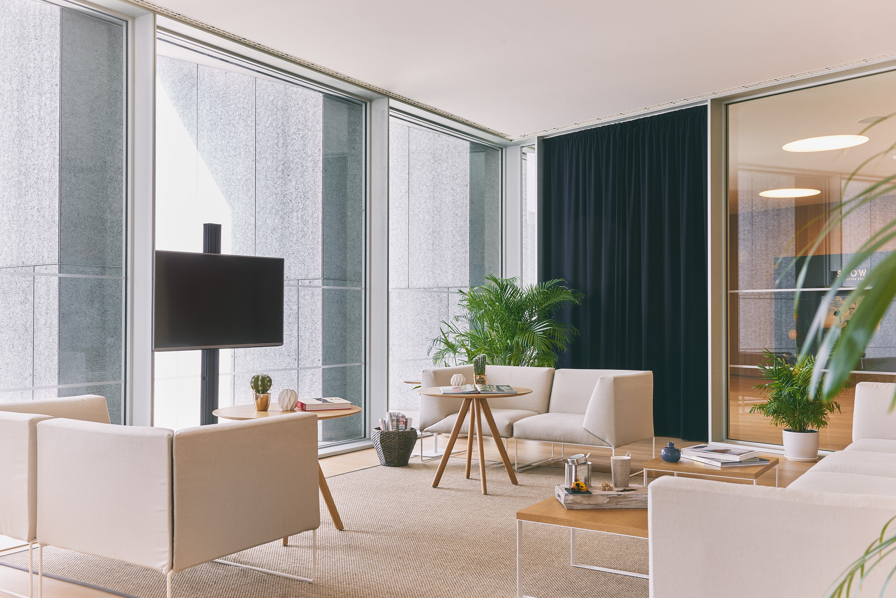 Modern office lounge with cream sofas, large windows, green plants, and a TV.