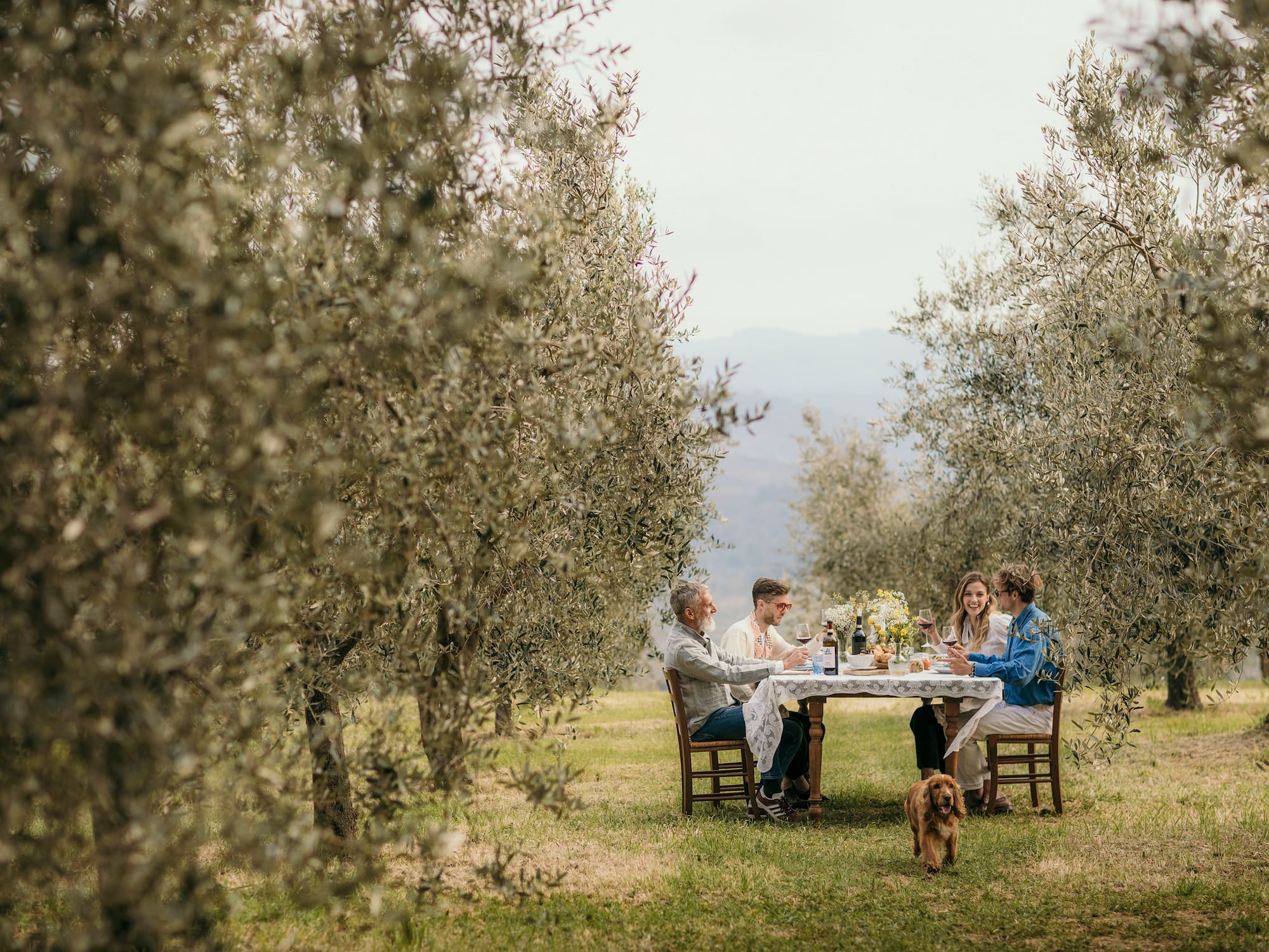 People enjoying outdoor dining and wine in an olive grove, with a dog nearby.