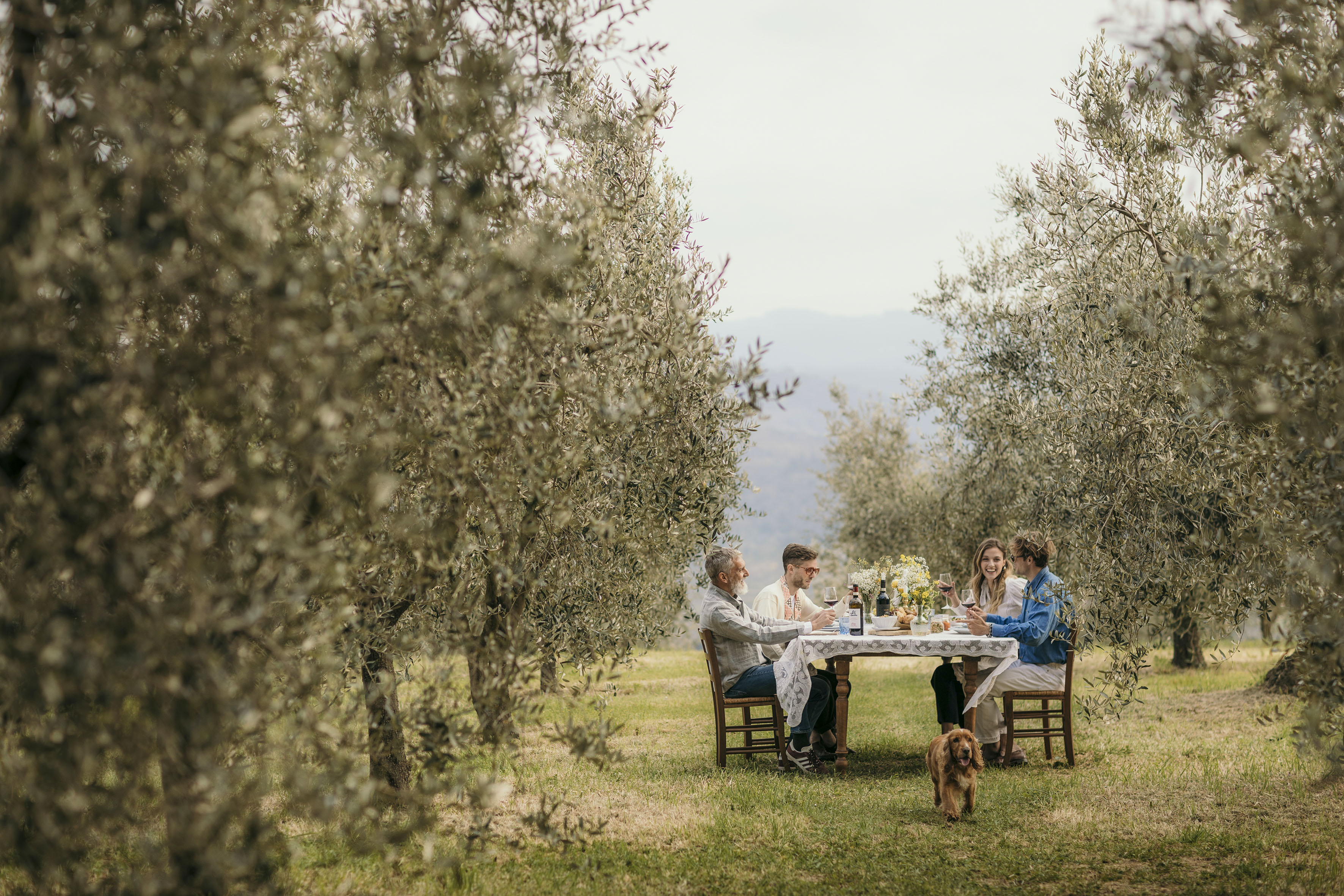 People enjoying outdoor dining and wine in an olive grove, with a dog nearby.