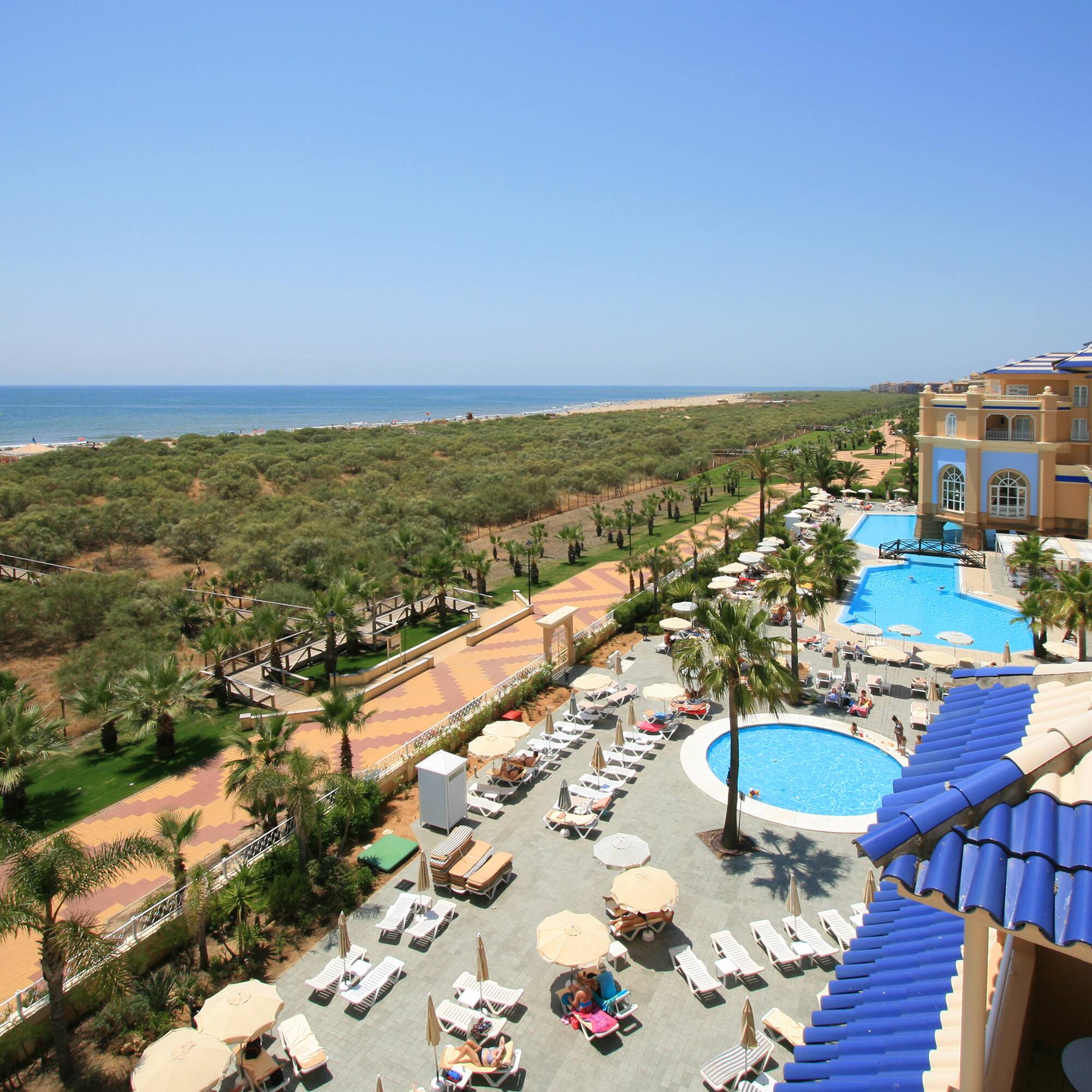 une piscine et une plage avec des palmiers