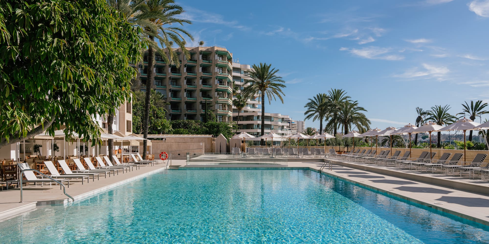 a swimming pool with palm trees and a building