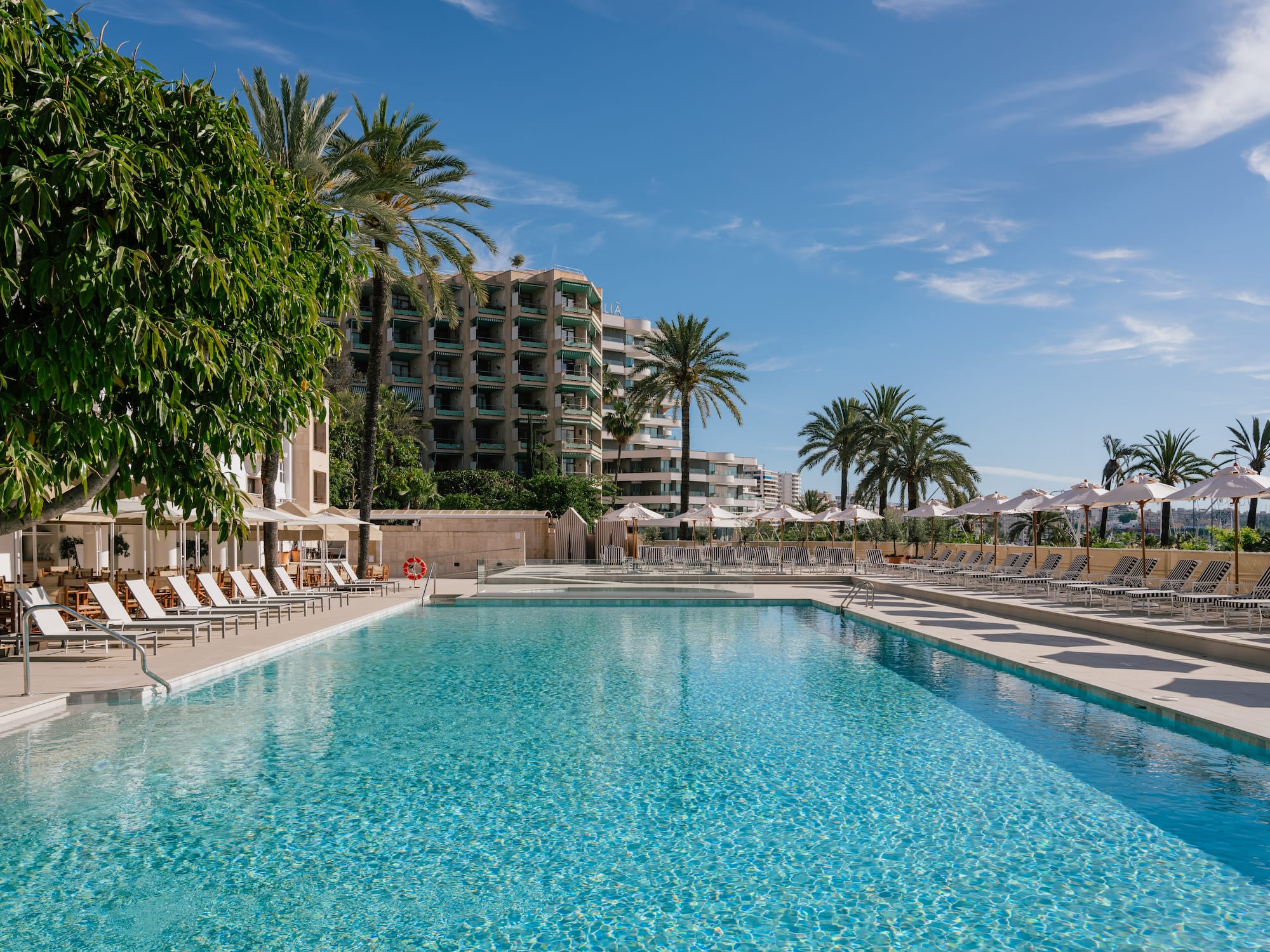 a swimming pool with palm trees and a building