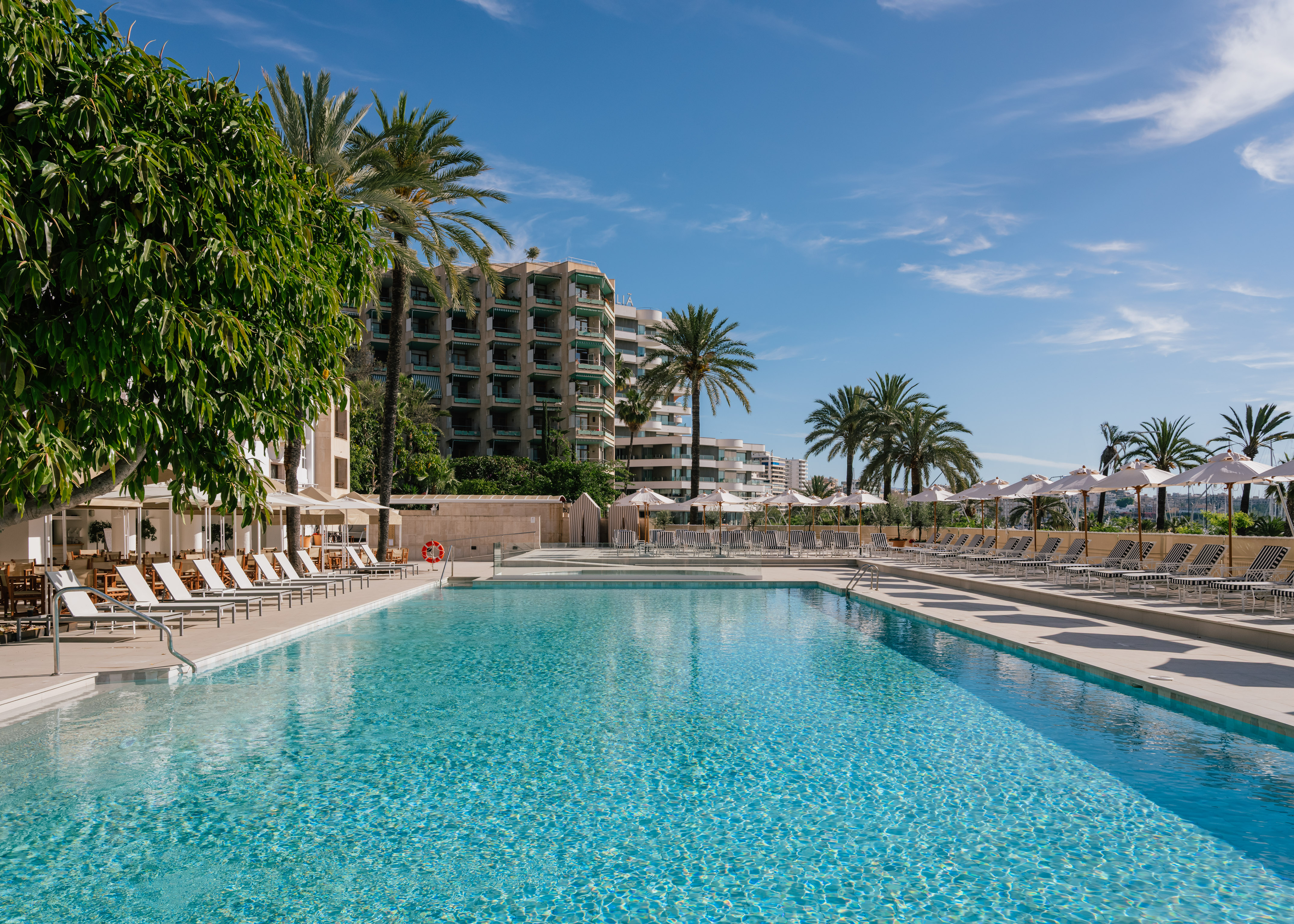 a swimming pool with palm trees and a building
