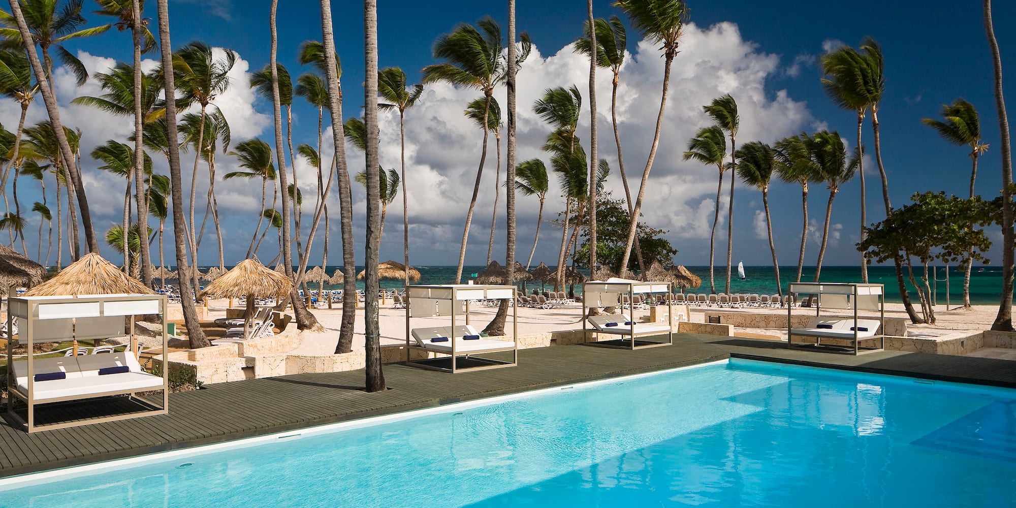 a pool with palm trees and a beach