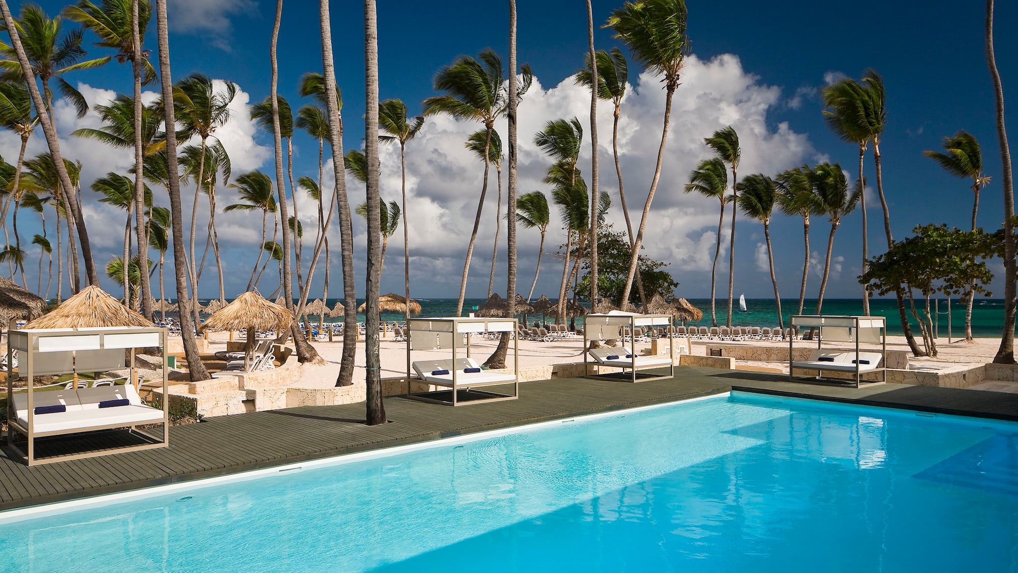 a pool with palm trees and a beach