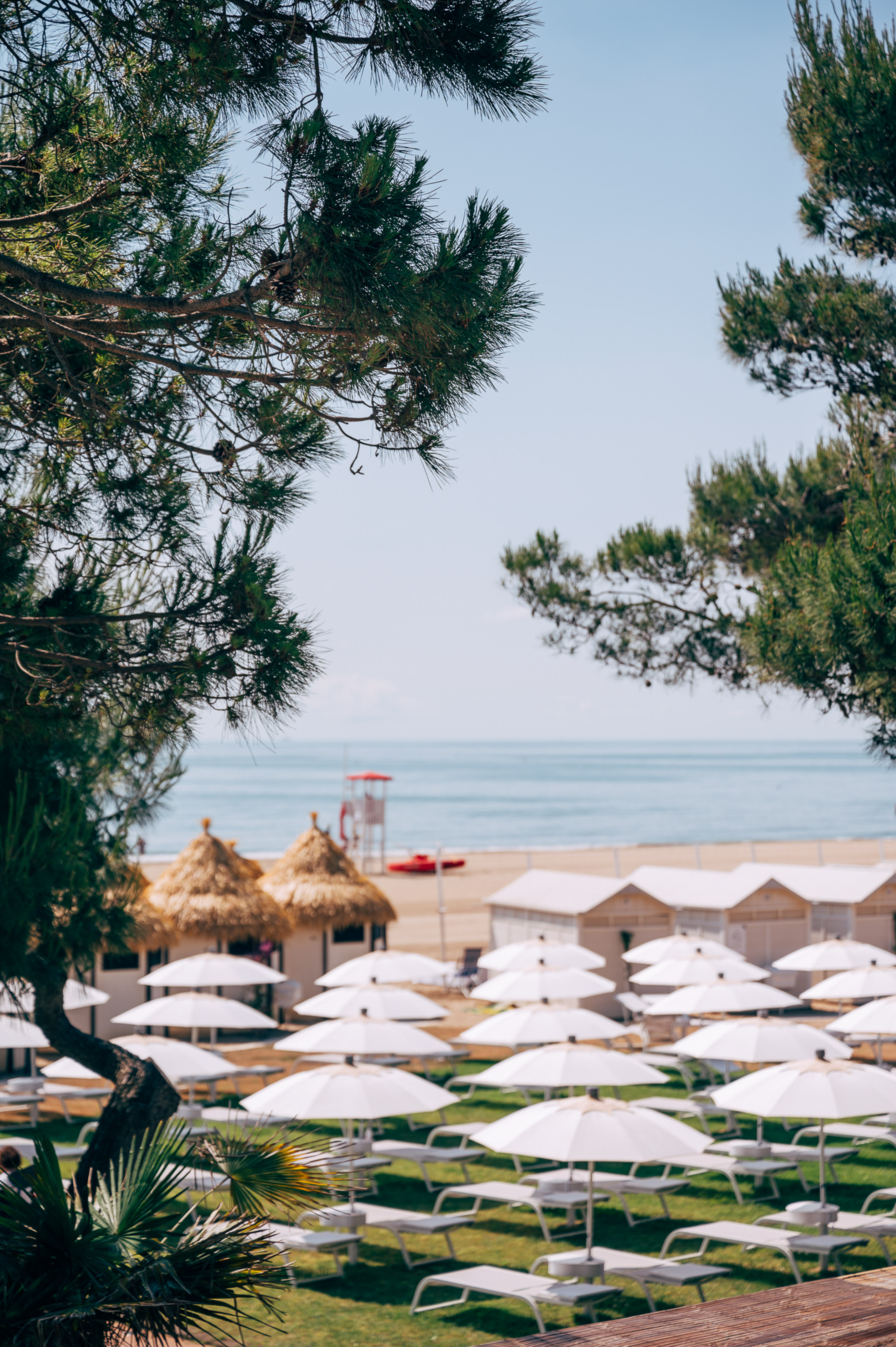 a group of white umbrellas on a beach