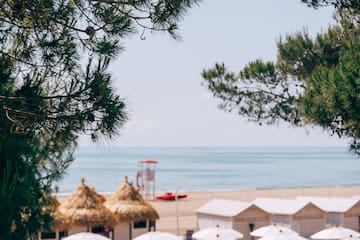 a group of white umbrellas on a beach