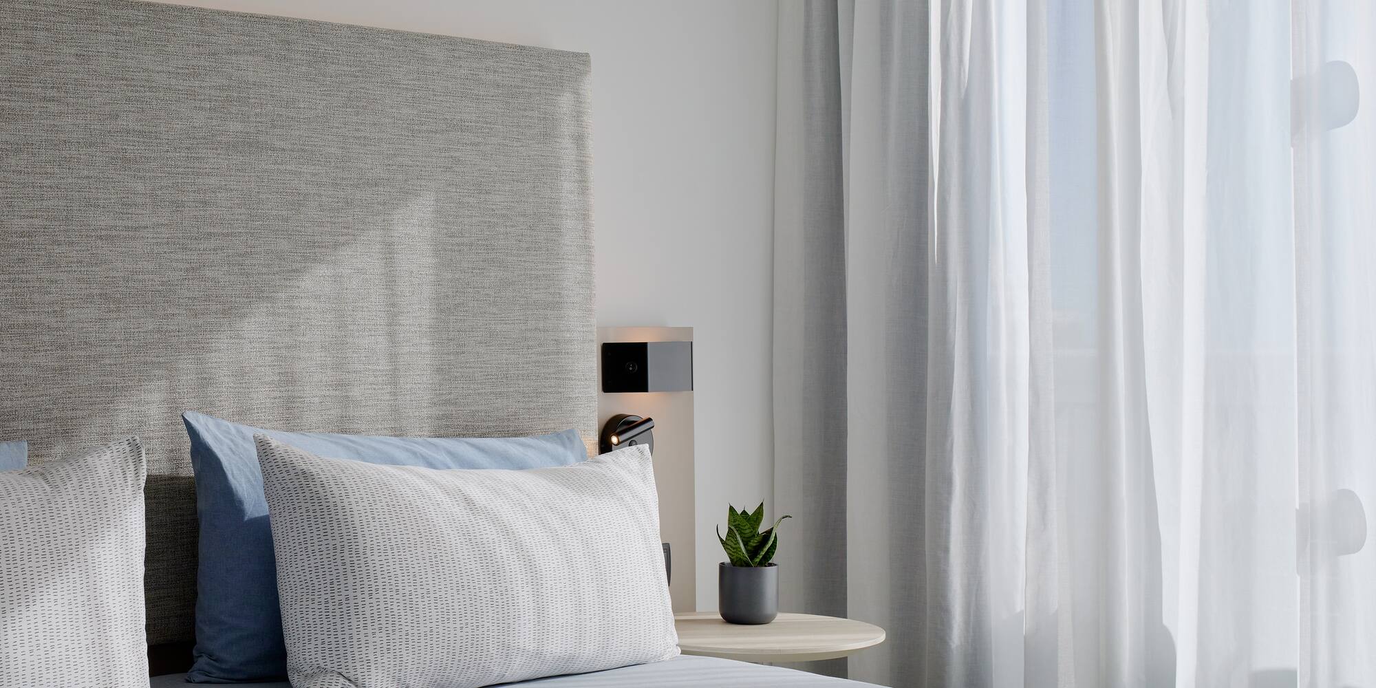 a bed with a plant on the side table
