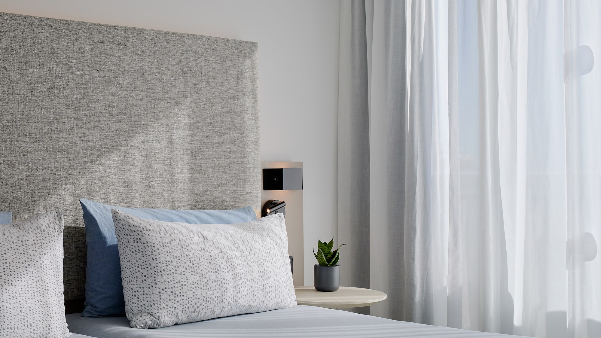 a bed with a plant on the side table