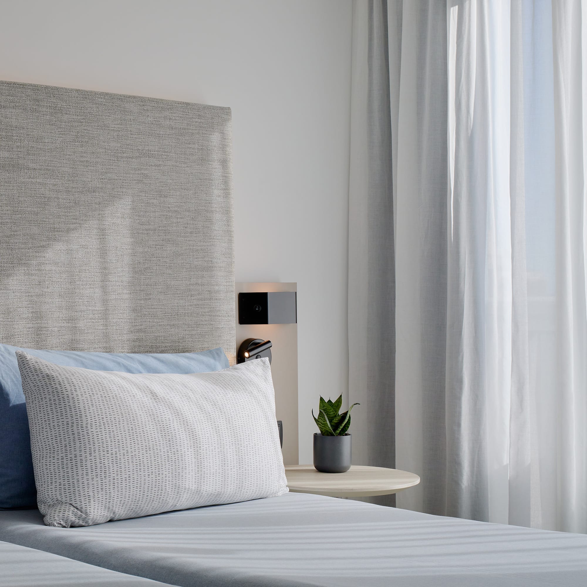 a bed with a plant on the side table
