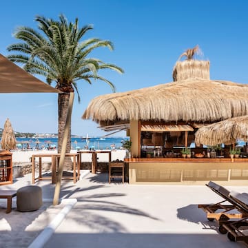 a beach bar with palm trees and chairs